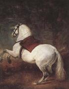 Diego Velazquez A White Horse (df01) China oil painting reproduction